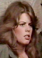 Stacy Evans
