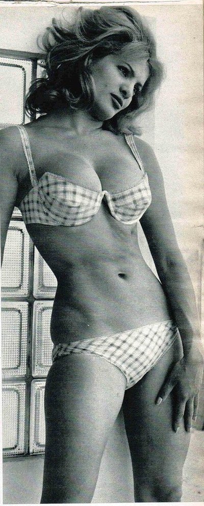 Sylvia Sorrente