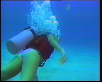 Anneka Rice