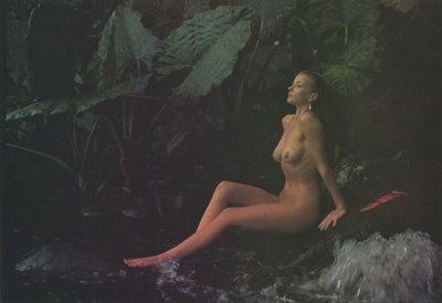 Deborah Gray