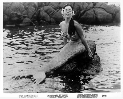 Diane Webber