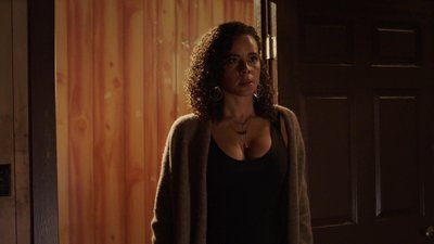 Parisa Fitz-Henley