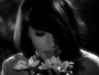 Joanna Frank
