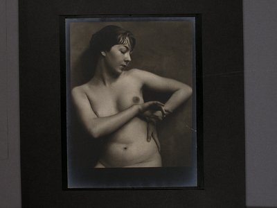 Ann Douglas
