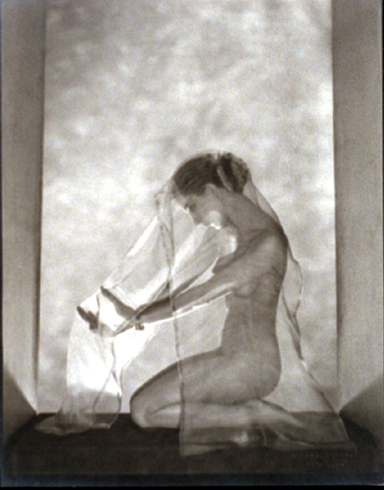 Ann Douglas