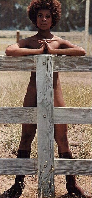 Lola Falana