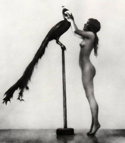 Renee Perle