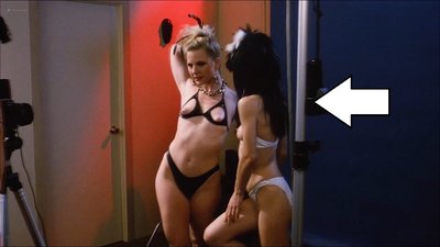 Brinke Stevens