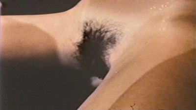 Angel (II)