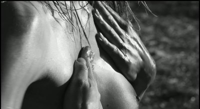 Rea Lest