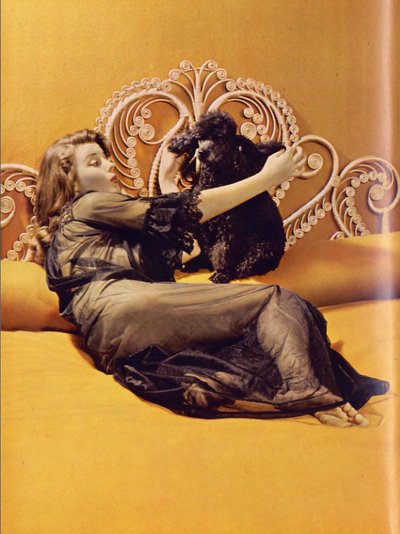 Elaine Stewart