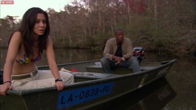 China Chow