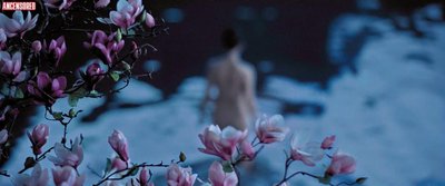 Yifei Liu