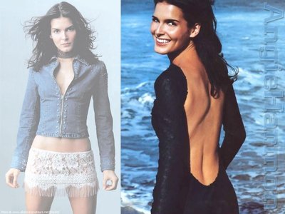 Angie Harmon