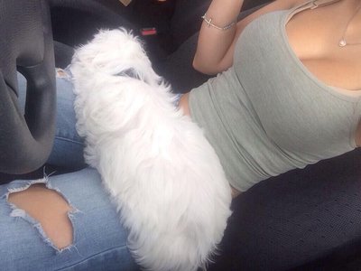 Angie Varona