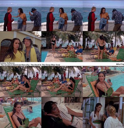 Connie Sellecca
