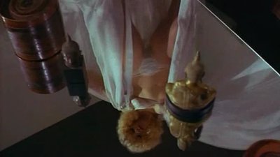Cindy Leadbetter