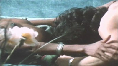 Dominique (II)