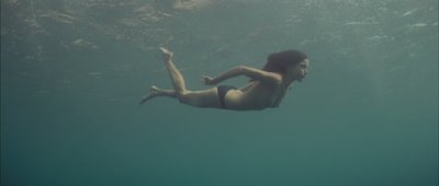 Elena Anaya