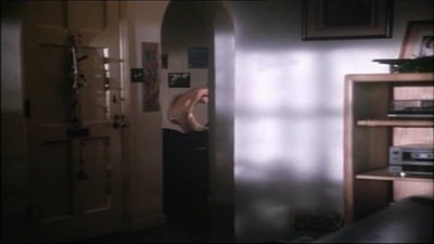 Джоан Северанс (Joan Severance)