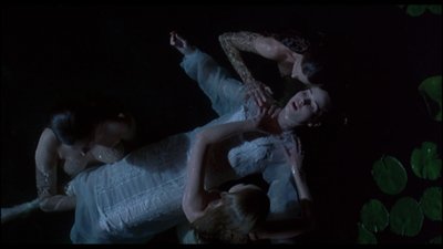 Kate Fischer