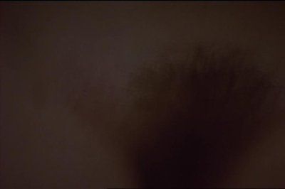 Lina Romay