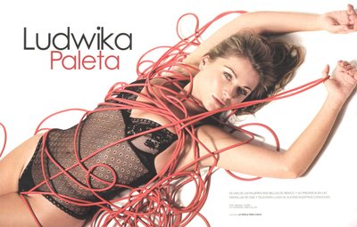 Ludwika Paleta