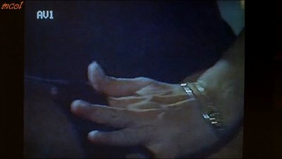Marina Giulia Cavalli