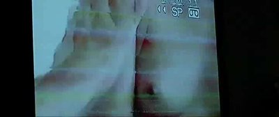 Michelle Pucci