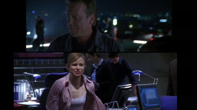 Mary Lynn Rajskub