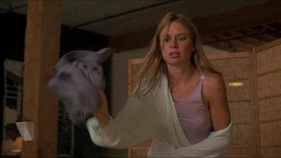 Mary Lynn Rajskub