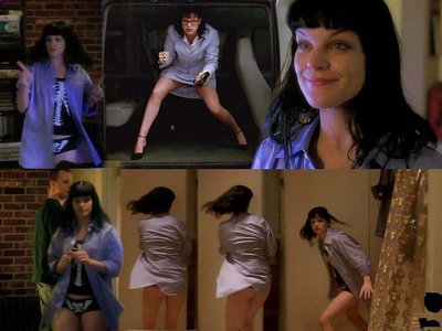 Pauley Perrette