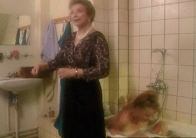 Paprika Steen