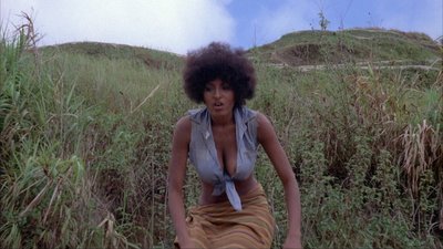 Пэм Герье (Pam Grier)