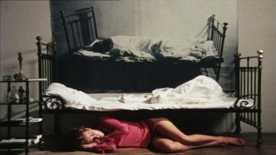 Susanne Widl