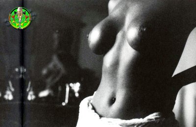 Susanne Voessing