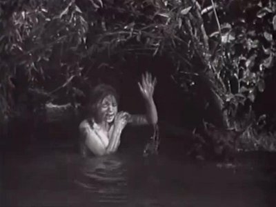 Shirley Mills