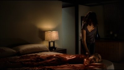Samaire Armstrong