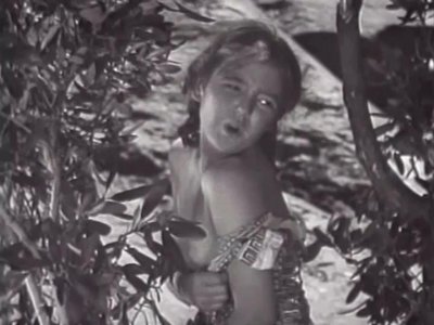 Shirley Mills
