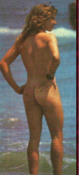 Steffi Graf Agassi
