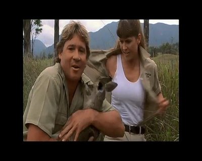 Terri Irwin