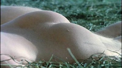 Yvonne Dwyer
