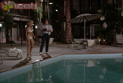 Christie Brinkley