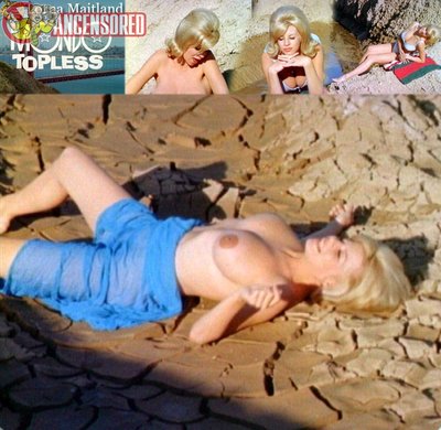 Lorna Maitland