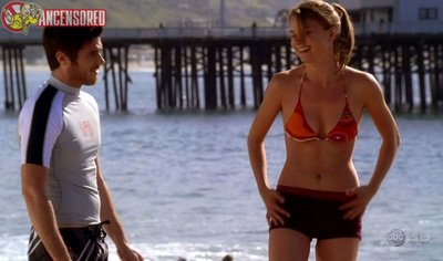 Emily VanCamp