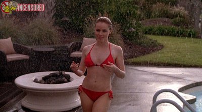 Amanda Schull