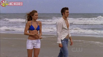 Shantel VanSanten